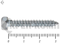 Шуруп с шестигранной головкой DIN7976 5,5х32 (40шт)