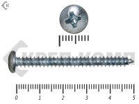 Шуруп с полукруглой головкой DIN7981 4,8х50 (2000шт)